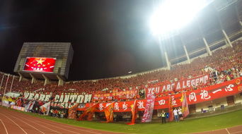 爱游戏下载-中小学体育场馆设施改造提升使用率，中小学校体育场地设施条件保障制度法规文件有哪些  第2张