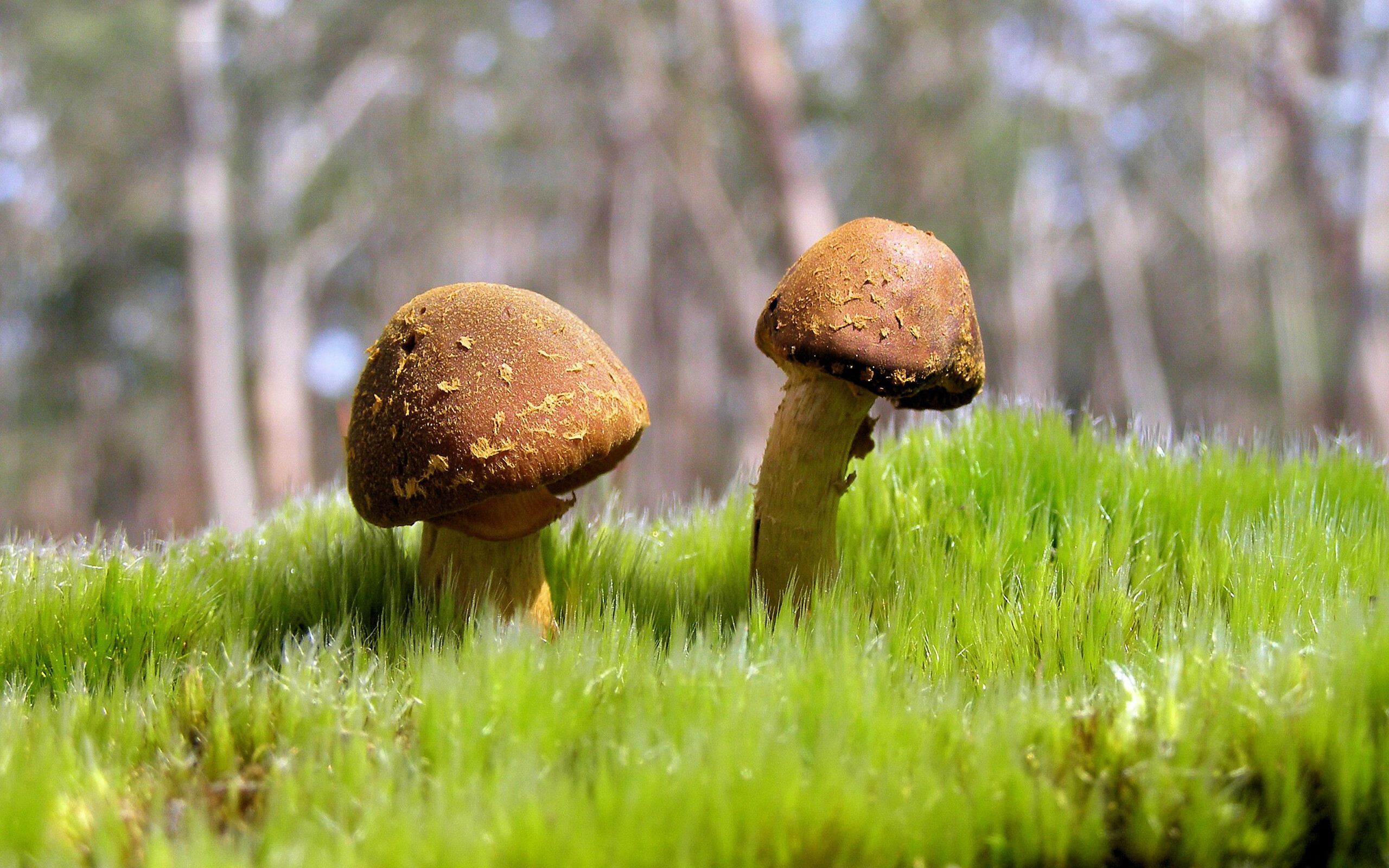 AYX体育-五大联赛是否在高控阶段主动拉宽站位分散防守,五大联赛停摆 第1张 AYX体育-五大联赛是否在高控阶段主动拉宽站位分散防守,五大联赛停摆 第1张