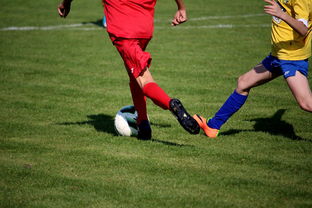 爱爱游戏-拳击国家队备战亚运 实施精英训练计划，拳击亚军奖杯照片  第1张